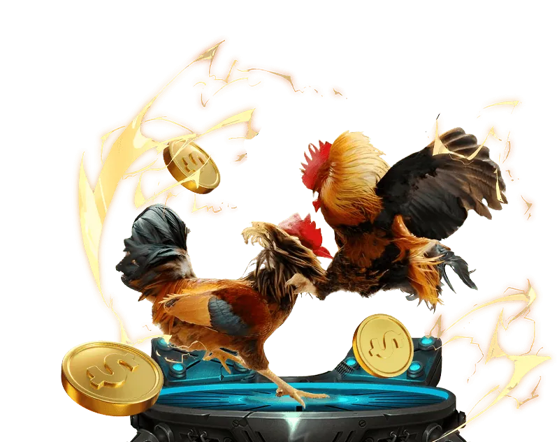 Tổng quan chính sách bảo mật kuwin casino